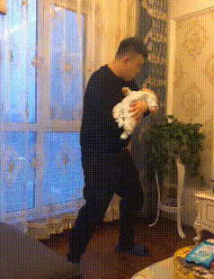 10010.gif