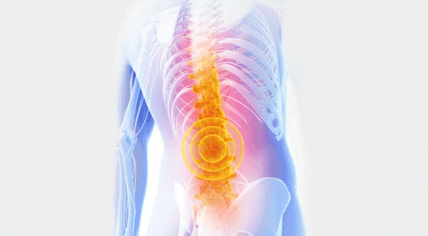 1698997768380560.gif 3.gif