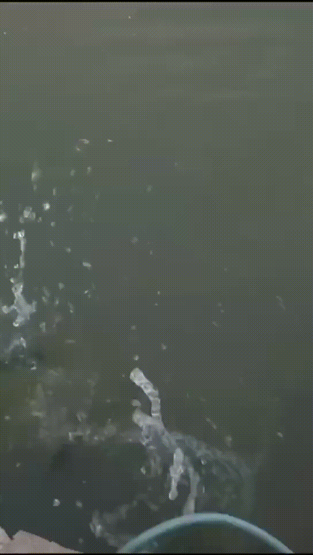 1698998049638490.gif 9.gif