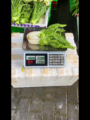 600395971842.gif