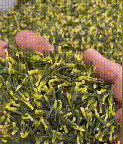 1755599411130242.gif